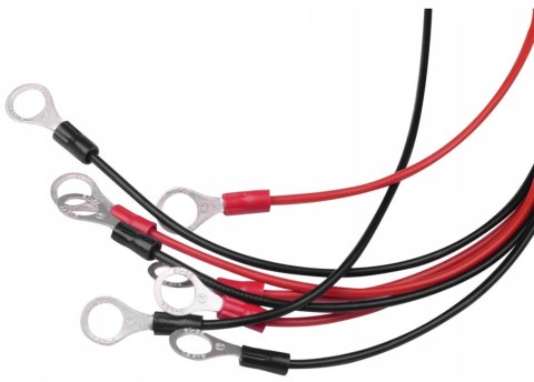 BALANSER STABILIZATOR NAPIĘCIA AKUMULATORÓW POŁĄCZONYCH SZEREGOWO 48V